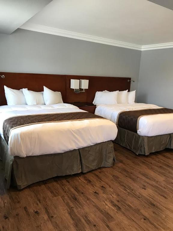 Rex Motel Ventura Zewnętrze zdjęcie